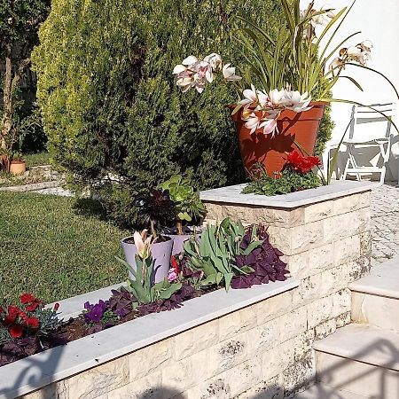 Telesico Residencia Ξενοδοχείο Pombal  Εξωτερικό φωτογραφία