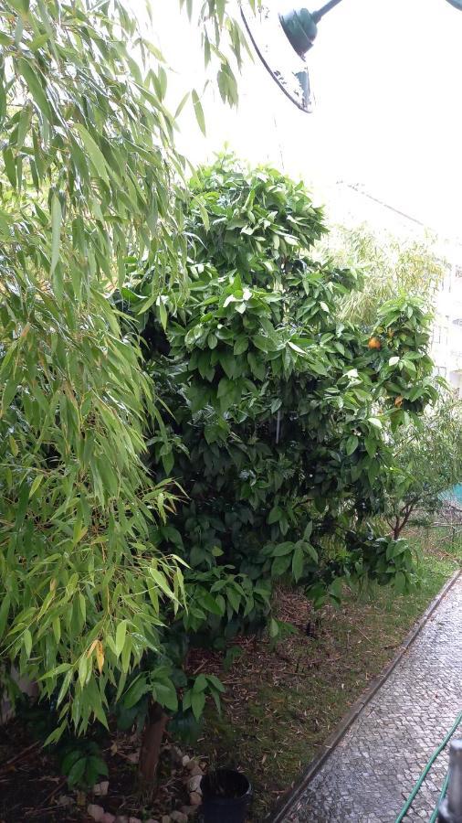 Telesico Residencia Ξενοδοχείο Pombal  Εξωτερικό φωτογραφία