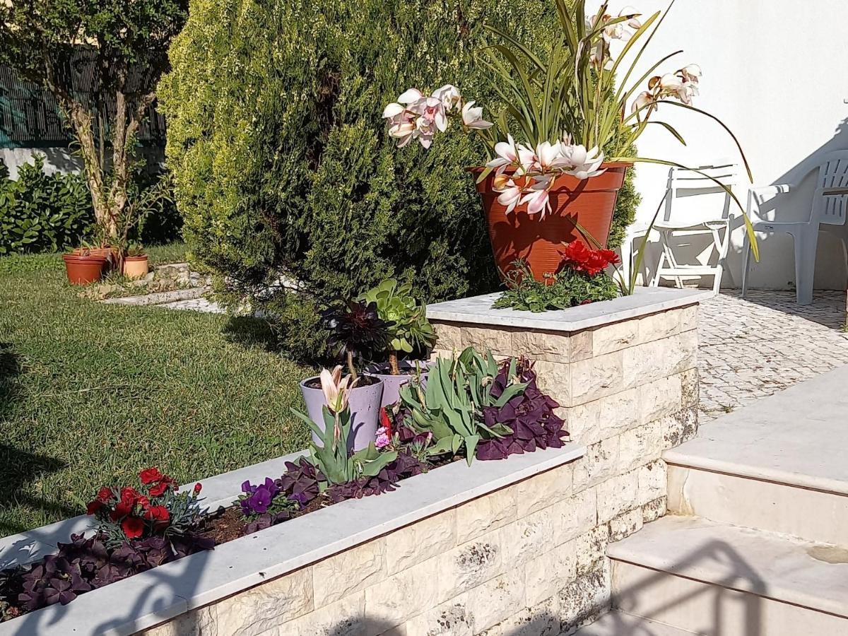 Telesico Residencia Ξενοδοχείο Pombal  Εξωτερικό φωτογραφία
