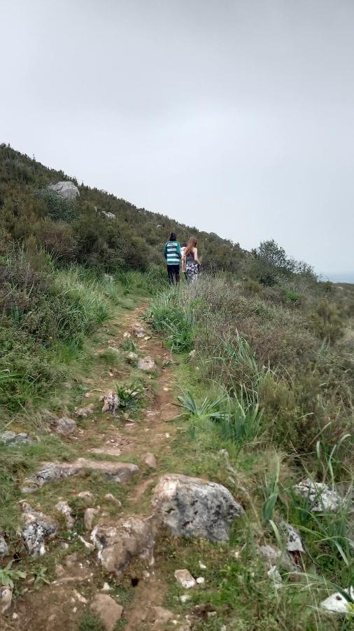 Telesico Residencia Ξενοδοχείο Pombal  Εξωτερικό φωτογραφία