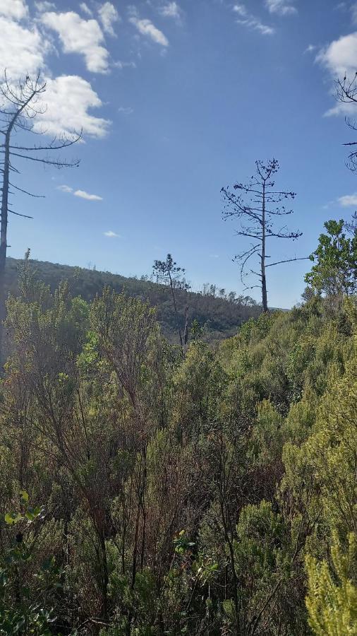 Telesico Residencia Ξενοδοχείο Pombal  Εξωτερικό φωτογραφία