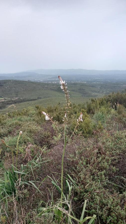 Telesico Residencia Ξενοδοχείο Pombal  Εξωτερικό φωτογραφία
